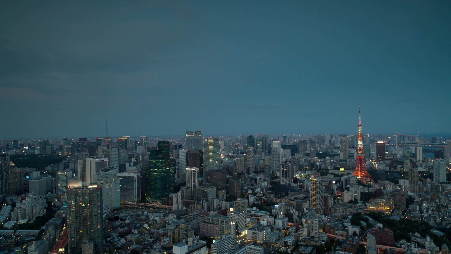Wide city skyline at dusk